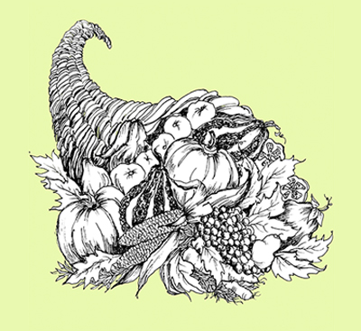 Cornucopia Illustration by Lynne Beard